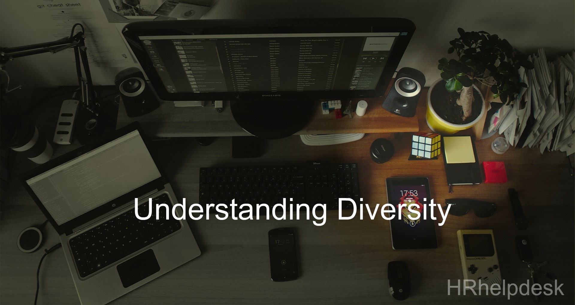 understanding diversity in organization culture
